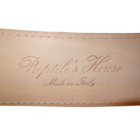 Reptile's House Belt made of ostrich leather