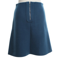 Carven Skirt in Blue