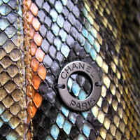 Chanel Veste en cuir python 