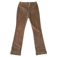 D&G Trousers Cotton in Ochre