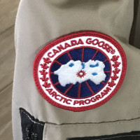 Canada Goose Canada goose