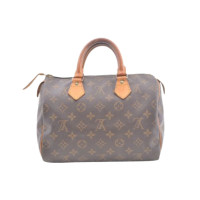 Louis Vuitton Speedy 25 aus Canvas in Braun