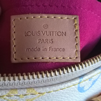 Louis Vuitton Speedy 25 aus Leder