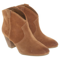 Ash Suede ankle boots