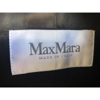 Max Mara veste