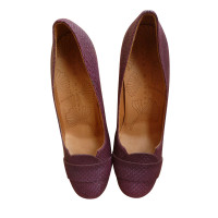Chie Mihara Pumps in Bordeaux