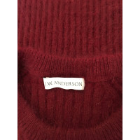 J.W. Anderson Sweater with Angora share