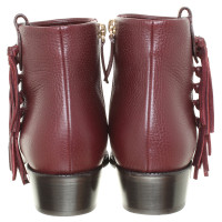 Valentino Garavani Ankle boots in Bordeaux