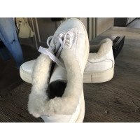 Maje Sneaker in Pelle in Bianco