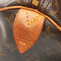 Louis Vuitton Speedy 25 Canvas in Bruin