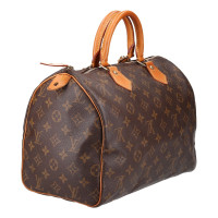 Louis Vuitton Speedy 30 in Brown