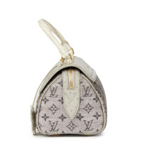 Louis Vuitton deleted product