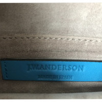 J.W. Anderson Mini Pierce Bag