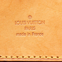Louis Vuitton Evasion Monogram Canvas