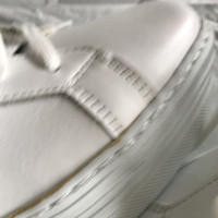 Pollini Sneaker in Pelle in Bianco