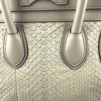 Céline Luggage Leather in Grey