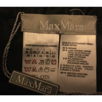 Max Mara roccia