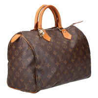 Louis Vuitton Speedy 30 in Bruin