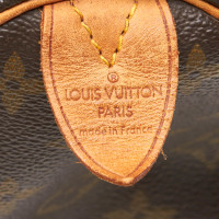 Louis Vuitton Speedy 25 in Tela in Marrone