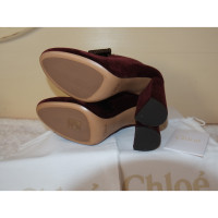 Chloé Lace-up shoes in Bordeaux