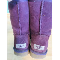 Ugg Australia Boots in Violet