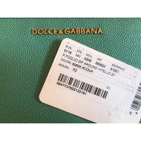 Dolce & Gabbana Accessoire en Cuir en Vert