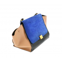 Céline Sac à main en Cuir en Bleu