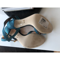 Dolce & Gabbana Sandals in Turquoise