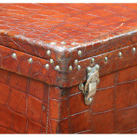 Louis Vuitton Coffre valise alligator