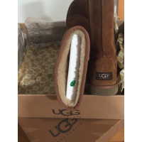 Ugg Australia Stivali in Pelle scamosciata in Marrone