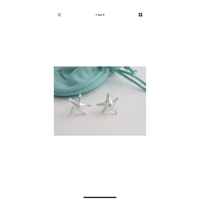 Tiffany & Co. Boucle d'oreille en Argent