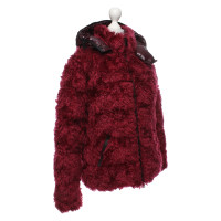 Moncler Jacket/Coat in Fuchsia