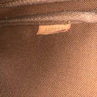 Louis Vuitton Pochette Accessoires in Braun