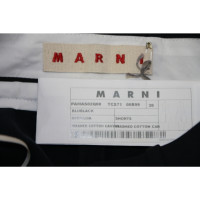 Marni Trousers Cotton in Blue