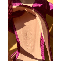 Chloé Sandals Leather in Pink