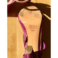 Chloé Sandalen aus Leder in Rosa / Pink