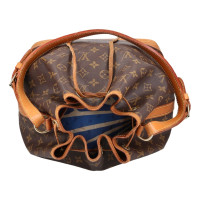 Louis Vuitton Borsetta in Marrone