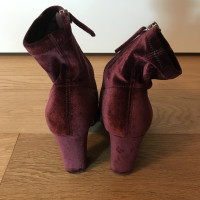 Steve Madden Enkellaarzen in Bordeaux