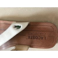 Lacoste Sandalen aus Leder in Weiß