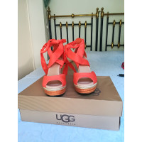 Ugg Australia Sandals in Orange