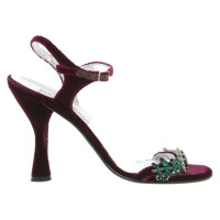 Dolce & Gabbana Sandaletten in Violett