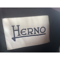 Herno Giacca/Cappotto in Argenteo