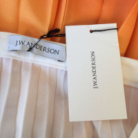 J.W. Anderson Rok Viscose in Wit
