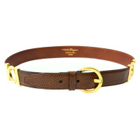 Salvatore Ferragamo Belt Leather in Brown