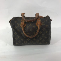 Louis Vuitton Speedy aus Canvas in Braun