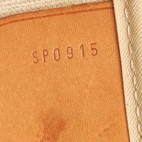 Louis Vuitton Sirius 45 en toile marron