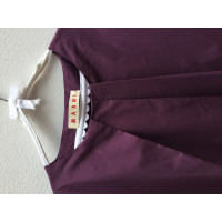 Marni Kleid aus Baumwolle in Violett