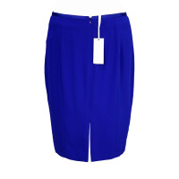 Hobbs skirt in Blue