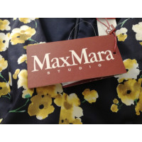 Max Mara Robe en Coton en Bleu