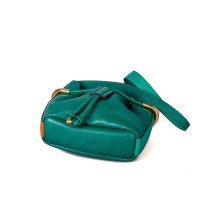 Chloé Shoulder bag Leather in Green